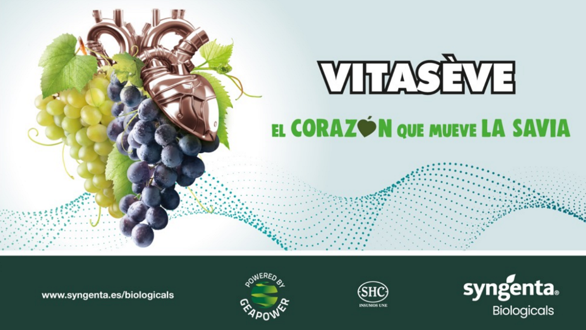 vitaseve syngenta|3.- Rocio en stand